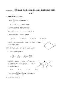 2020-2021学年湖南省张家界市桑植县八年级上学期期中数学试题及答案