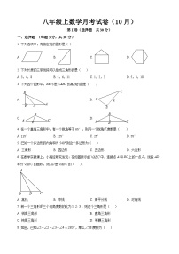 八年级上学期月考数学试题