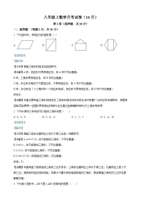 八年级上学期月考数学试题（解析版）