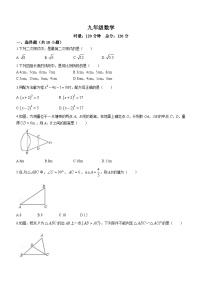 湖南省衡阳市成章实验中学2023-2024学年九年级上学期期中数学试题