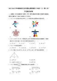 2022-2023学年湖南省长沙市雅礼教育集团八年级（上）第三次月考数学试卷