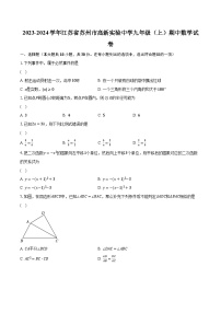 2023-2024学年江苏省苏州市高新实验中学九年级（上）期中数学试卷（含解析）