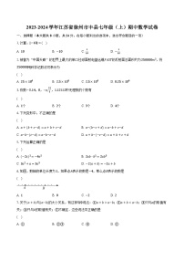 2023-2024学年江苏省徐州市丰县七年级（上）期中数学试卷（含解析）