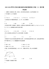 2023-2024学年江苏省无锡市新吴区梅里集团校九年级（上）期中数学试卷（含解析）