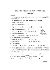 河南省平顶山市第四十四中学2023-2024学年八年级数学上学期11月期中测试题