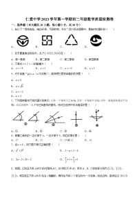 浙江省宁波市镇海区镇海区仁爱中学2023-2024学年八年级上学期期中数学试题