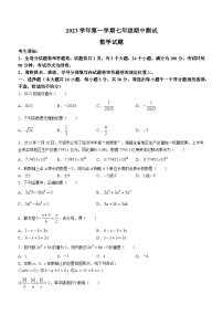 浙江省宁波市江北区宁波大学青藤书院2023-2024学年七年级上学期期中数学试题