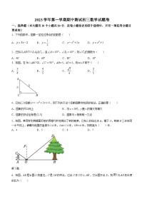 浙江省宁波市鄞州区兴宁中学2023-2024学年九年级上学期期中数学试题