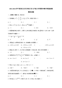 2023-2024学年黑龙江省齐齐哈尔市七年级上册期中数学学情检测模拟试题（含答案）