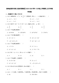 湖南省邵阳市洞口县茶场管理区2023-—2024学年七年级上学期第二次月考数学试题