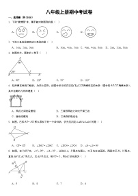 八年级上学期期中考试数学试题 (4)