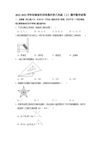 八年级上学期期中考试数学试题 (10)