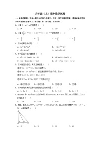 八年级上学期期中考试数学试题 (13)