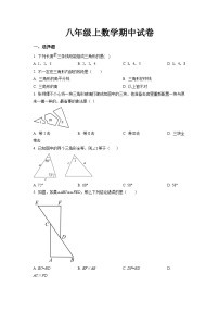 八年级上学期期中考试数学试题 (43)