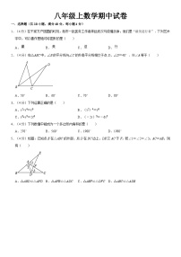 八年级上学期期中考试数学试题 (46)