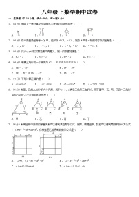 八年级上学期期中考试数学试题 (45)