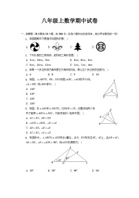 八年级上学期期中考试数学试题 (59)