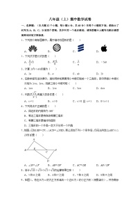 八年级上学期期中考试数学试题 (81)