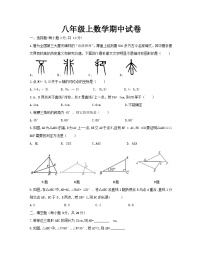 八年级上学期期中考试数学试题 (61)