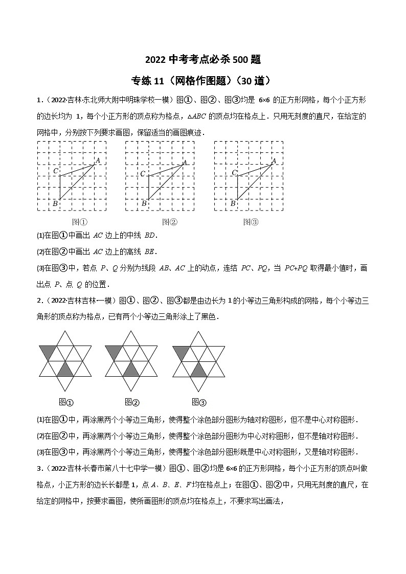 专练11（30题）（网格作图题）2022中考数学考点必杀500题（吉林专用）（原卷版）第1页
