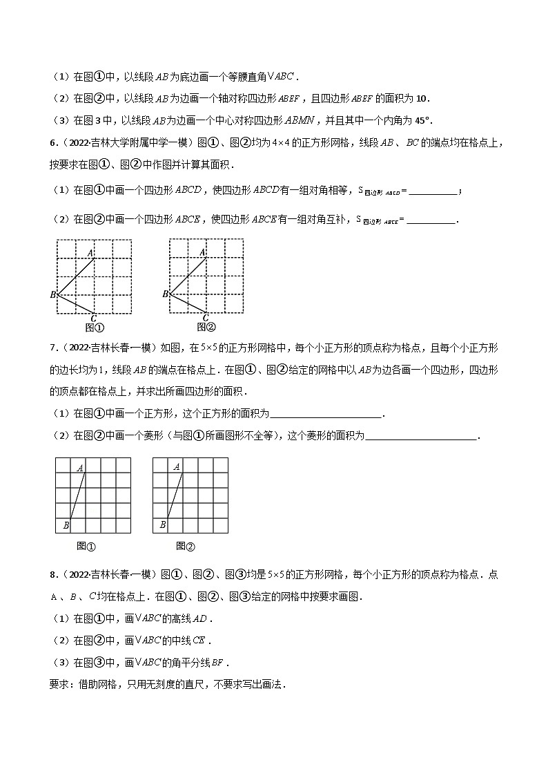 专练11（30题）（网格作图题）2022中考数学考点必杀500题（吉林专用）（原卷版）第3页