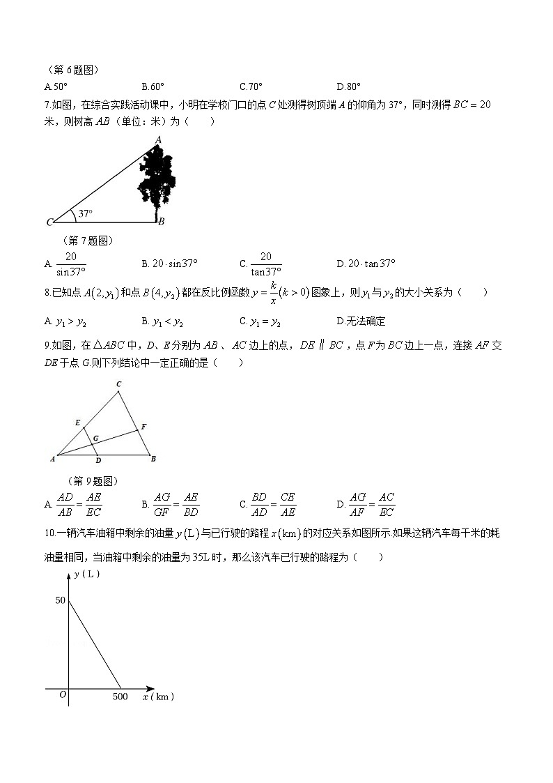 黑龙江省 哈尔滨市第六十九中学校2023-2024学年九年级上学期月考数学试题02