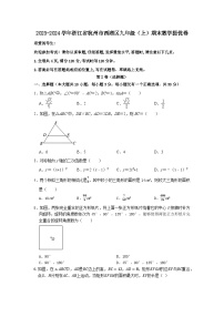 浙江省杭州市西湖区2023-2024学年九年级上学期期末数学提优卷