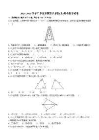 广东省东莞市2023-2024学年八年级上学期期中数学试题