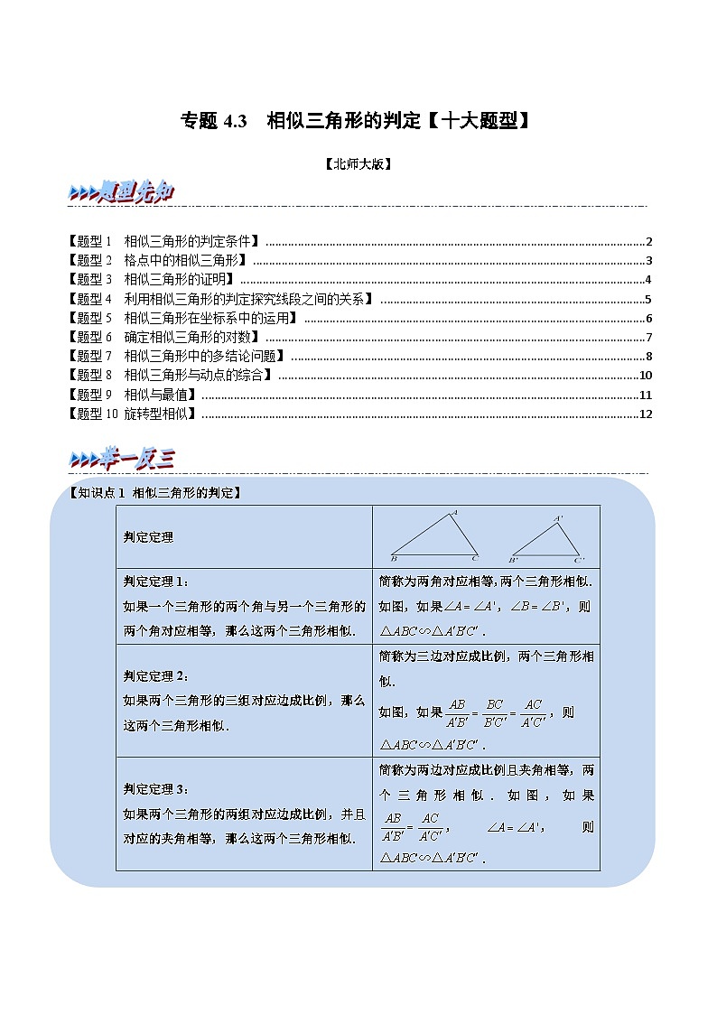 北师大版九年级数学上册 专题4.3 相似三角形的判定【十大题型】（举一反三）（学生版）第1页