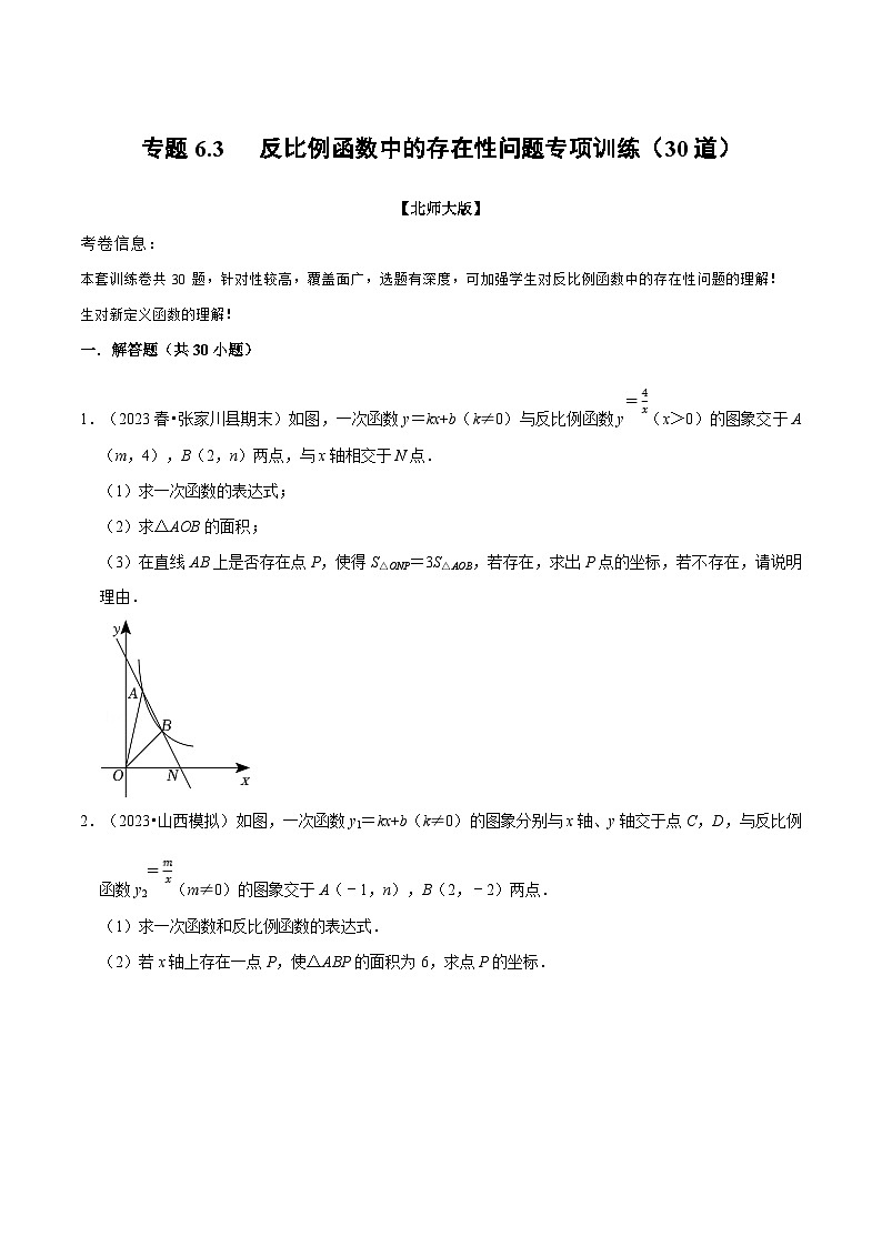 北师大版九年级数学上册 专题6.3 反比例函数中的存在性问题专项训练（30道）（举一反三）（学生版）01