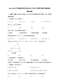 2023-2024学年福建省漳州市诏安县九年级上学期期中数学质量检测模拟试题（含答案）