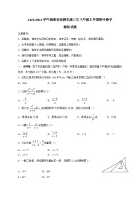 2023-2024学年湖南省株洲市渌口区八年级上学期期中数学模拟试题（含答案）