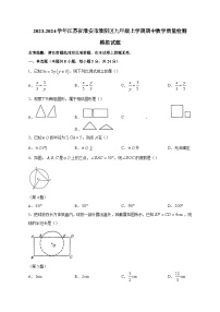 2023-2024学年江苏省淮安市淮阴区九年级上学期期中数学质量检测模拟试题（含答案）