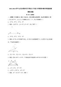 2023-2024学年山东省德州市宁津县八年级上学期期中数学质量检测模拟试题（含答案）