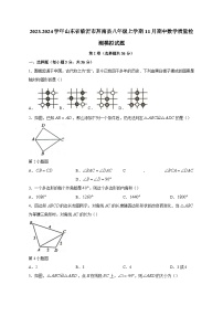 2023-2024学年山东省临沂市莒南县八年级上学期11月期中数学质量检测模拟试题（含答案）