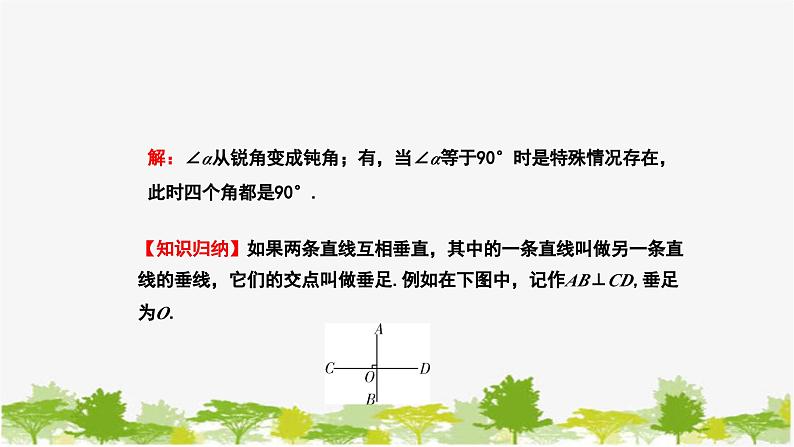 人教版数学七年级下册 5.1.2 垂线课件06