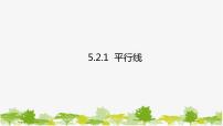 初中数学人教版七年级下册5.2.1 平行线课堂教学课件ppt