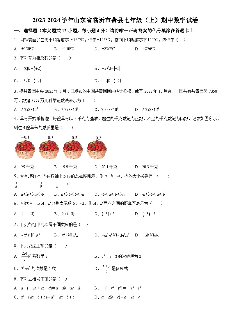 山东省临沂市费县2023-2024学年七年级上学期期中数学试题（含解析）01