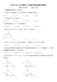 湖南省怀化市2023-2024学年九年级上学期期中数学试题（含解析）