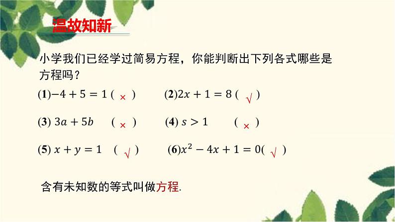 人教版数学七年级上册 3.1.1 一元一次方程课件第3页