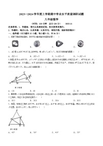 山东省临沂市罗庄区2023-2024学年八年级上学期期中数学试题