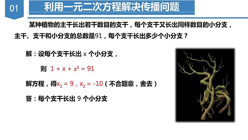 人教版数学九年级上册21.3 实际问题与一元二次方程（传播问题和增长率问题）（教学课件）08