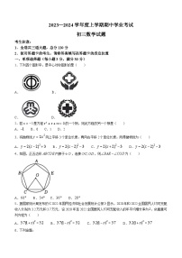 安徽省淮南市潘集区2023-2024学年九年级上学期期中数学试题(无答案)