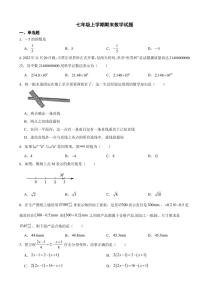 浙江省丽水市七年级上学期期末数学试题附参考答案