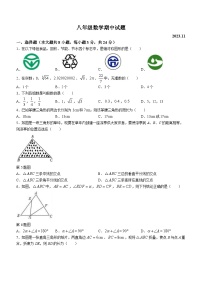 江苏省扬州市江都区江都区实验初级中学2023-2024学年八年级上学期期中数学试题(无答案)