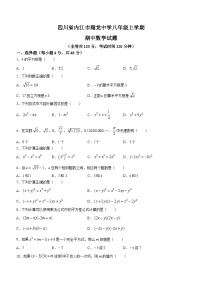 四川省内江市市中区内江市翔龙中学2023-2024学年八年级上学期期中数学试题(无答案)