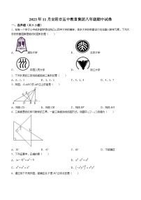 河南省安阳市第五中教育集团2023-2024学年八年级上学期期中数学试题