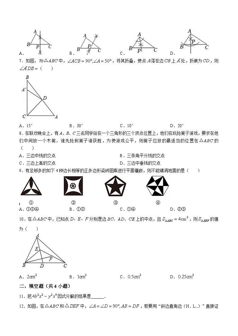 河南省安阳市第五中教育集团2023-2024学年八年级上学期期中数学试题02