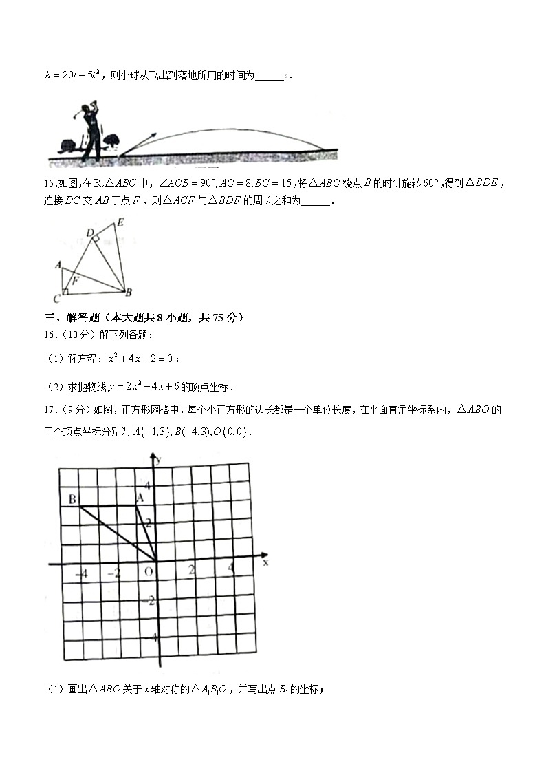河南省安阳市汤阴县部分学校2023-2024学年九年级上学期期中数学试题03