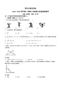 江苏省常州市新北区常州外国语学校2023-2024学年八年级上学期期中数学试题(无答案)